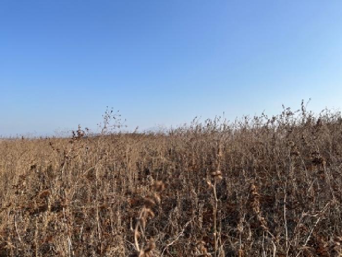 전북 고창군 부안면 수동리 302-4 전 사진 4