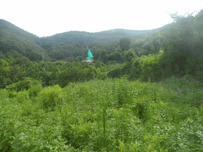 경상남도 거제시 하청면 어온리 299-1 법원경매 물건 대표사진