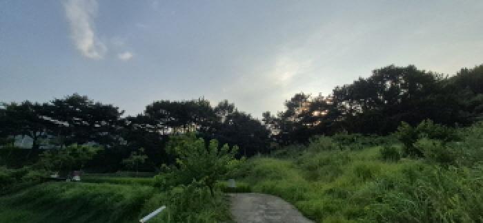 법원경매 2025타경21802 사진20 | 고성군 마암면 도전리 943 대지 경매