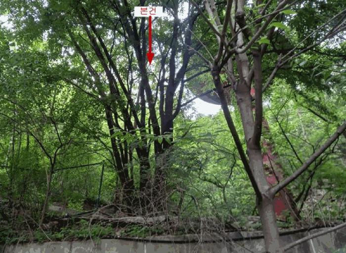서울특별시 종로구 구기동 134-8 법원경매 물건 대표사진