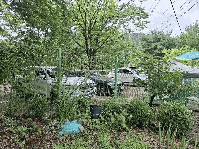 2025타경51542 법원경매 사진6 | 서울 은평구 하천 경매