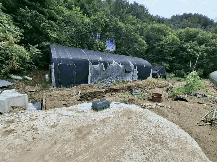 법원경매 2025타경72034 사진4 | 가평군 조종면 신하리 464-1 기타 경매