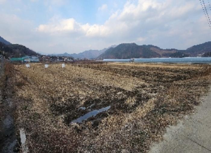 2024타경11667 법원경매 사진12 | 충북 영동군 전답 경매