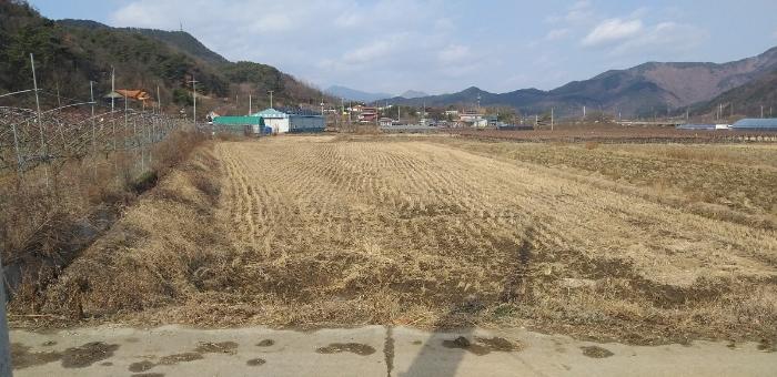 2024타경11667 법원경매 사진5 | 충북 영동군 전답 경매