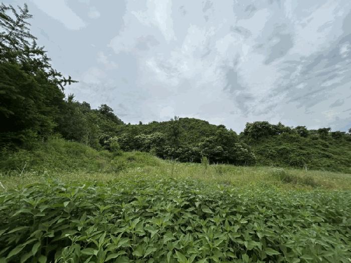 2025타경10153 법원경매 사진2 | 충북 옥천군 기타 경매