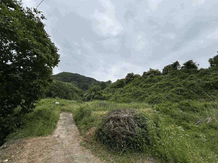 2025타경10153 법원경매 사진3 | 충북 옥천군 기타 경매