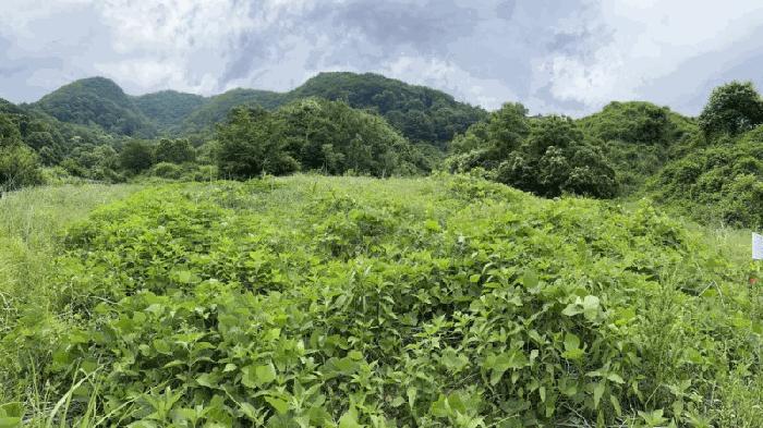 2025타경10153 법원경매 사진6 | 충북 옥천군 기타 경매