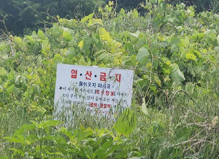 2025타경10153 법원경매 사진7 | 충북 옥천군 기타 경매