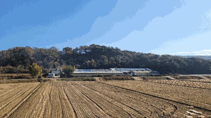 충청남도 홍성군 결성면 형산리 517-12 법원경매 물건 대표사진