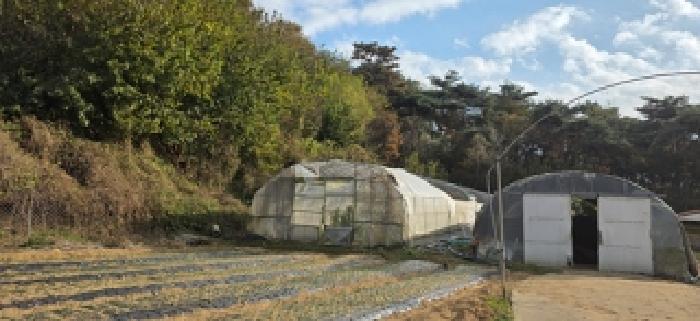 2025타경1207 법원경매 사진10 | 충남 홍성군 목장용지 경매