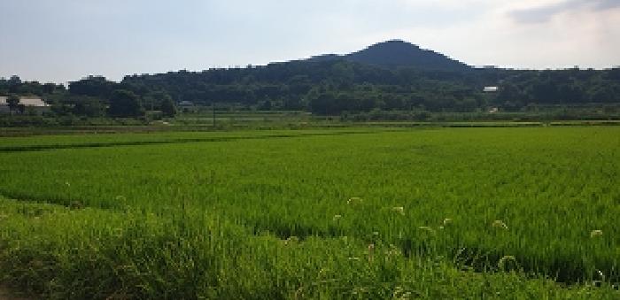 2025타경15861 법원경매 사진11 | 충남 예산군 답 경매