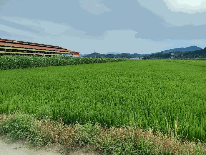 2025타경15861 법원경매 사진7 | 충남 예산군 답 경매
