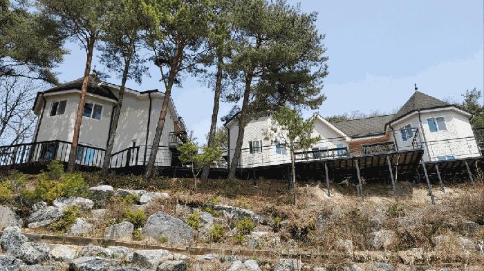 법원경매 2025타경431 사진3 | 평창군 대관령면 차항리 491-1 기타 경매