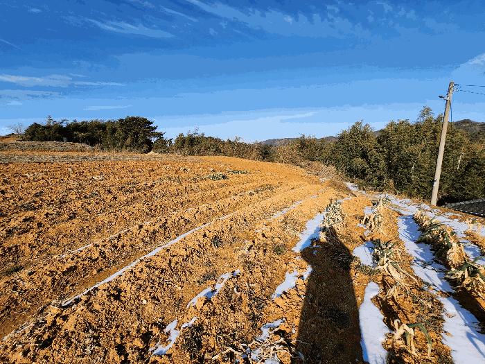 2026타경15035 법원경매 사진3 | 충남 홍성군 전 경매