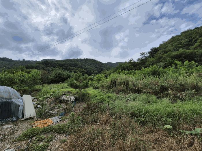 강원특별자치도 영월군 산솔면 직동리 444 법원경매 물건 대표사진