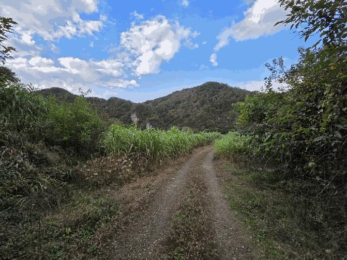 법원경매 2025타경1366 사진2 | 영월군 남면 연당리 1357 전 경매