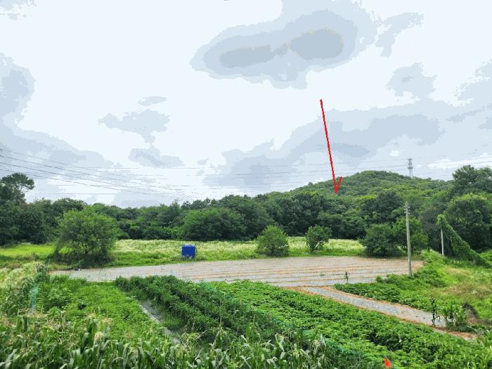 법원경매 2025타경42110 사진2 | 평택시 청북읍 옥길리 임야 경매
