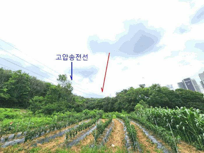 법원경매 2025타경42110 사진4 | 평택시 청북읍 옥길리 임야 경매