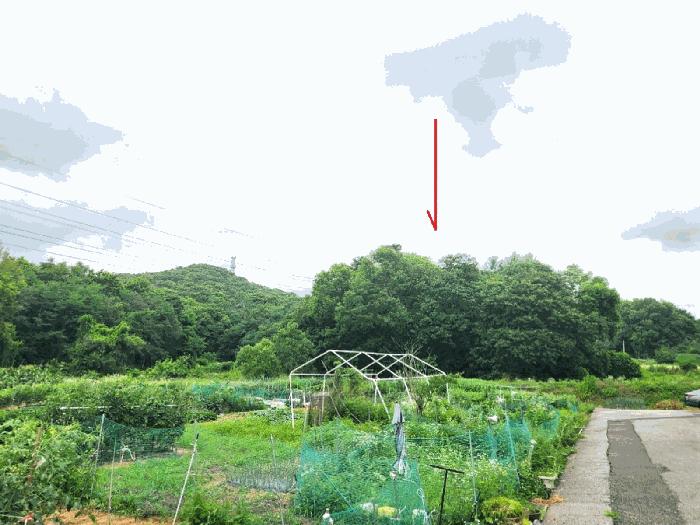 법원경매 2025타경42110 사진7 | 평택시 청북읍 옥길리 임야 경매