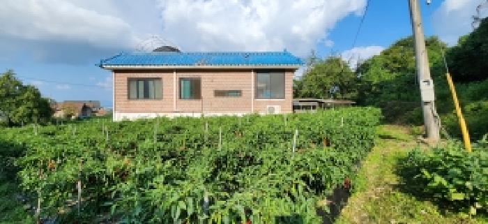 법원경매 2025타경73203 사진10 | 양주시 백석읍 가업리 197-16 주택건물 경매