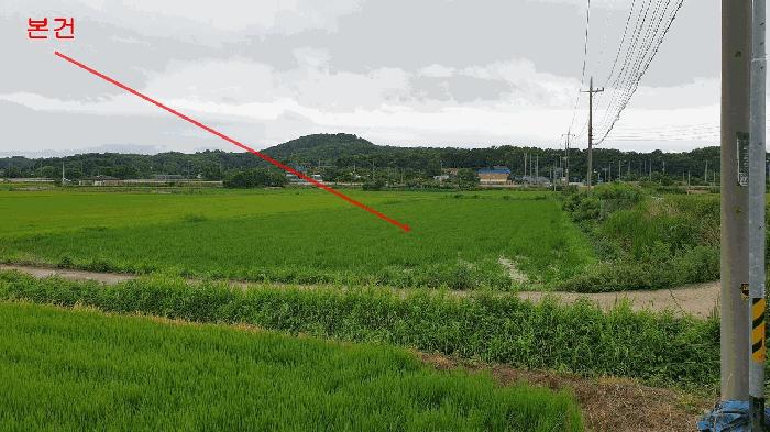 법원경매 2025타경42196 사진3 | 평택시 현덕면 답 경매