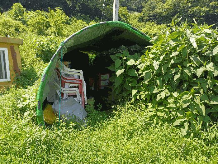 경북 영천시 고경면 삼산리 363 답 사진 2