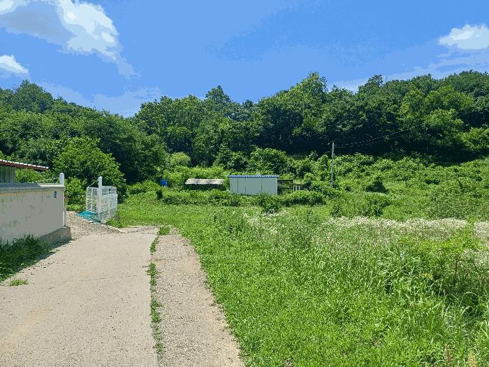 경북 영천시 고경면 삼산리 363 답 사진 3