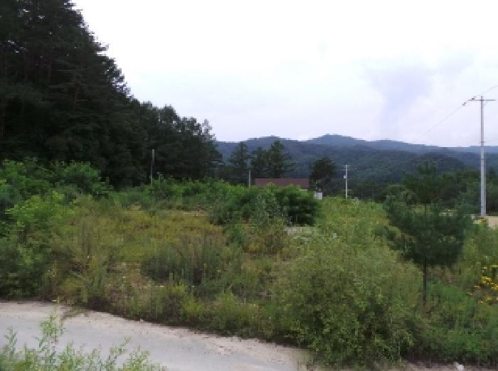 법원경매 2025타경30548 사진18 | 평창군 진부면 간평리 90-11 대지,임야,전답 경매