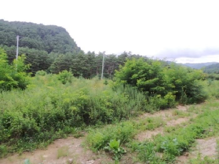 법원경매 2025타경30548 사진16 | 평창군 진부면 간평리 90-7 대지,임야,전답 경매