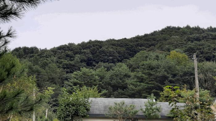 강원특별자치도 평창군 봉평면 무이리 1111-61 법원경매 물건 대표사진