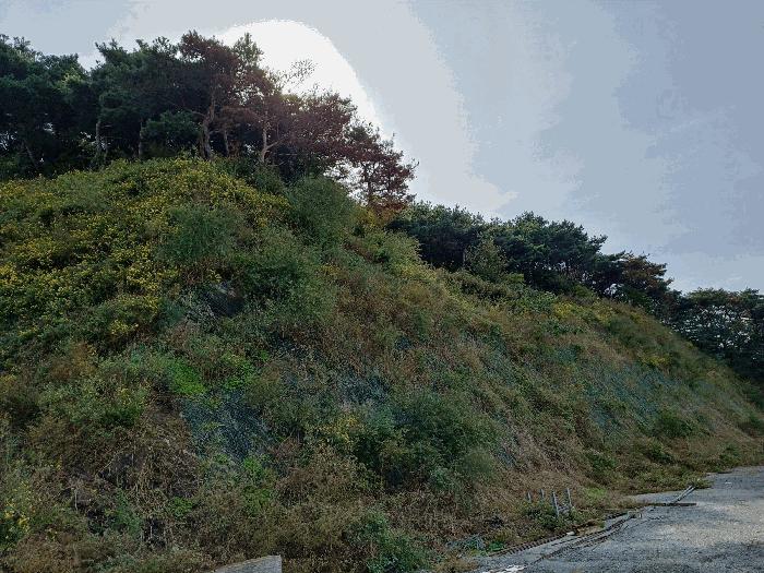 2025타경550 법원경매 사진6 | 경북 경주시 임야 경매