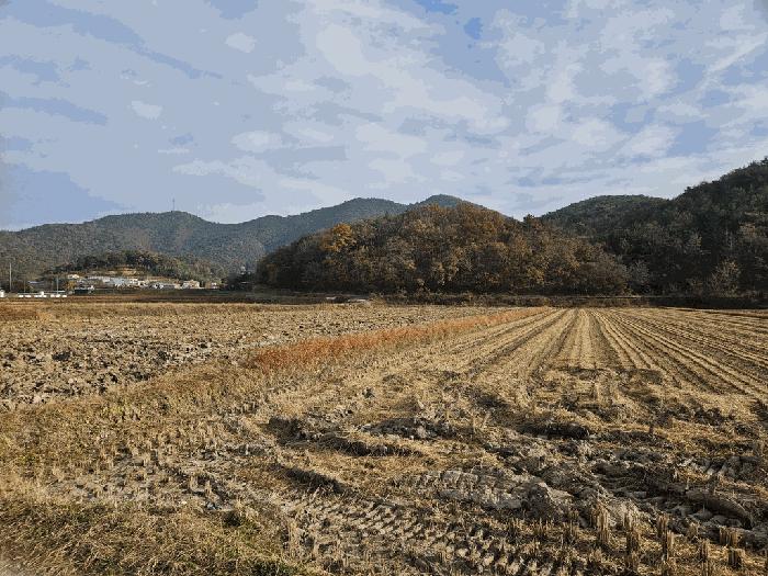 경상북도 경주시 현곡면 오류리 446 법원경매 물건 대표사진