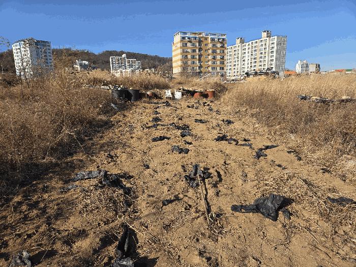 경상북도 경주시 감포읍 감포리 569 법원경매 물건 대표사진