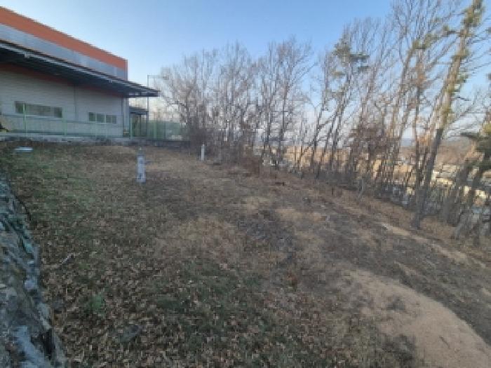법원경매 2025타경10869 사진3 | 경주시 내남면 월산리 1224-23 전 경매