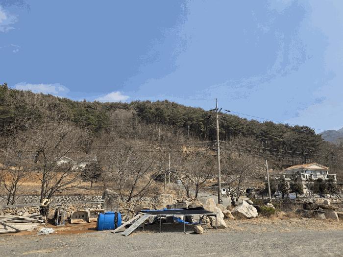 경북 경주시 산내면 대현리 산323-12 임야 사진 2