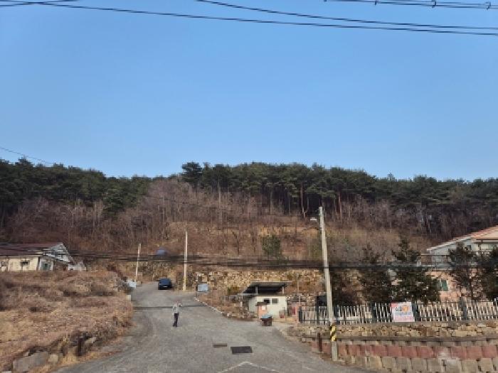 경북 경주시 산내면 대현리 산323-12 임야 사진 4