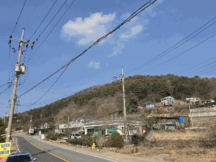 경북 경주시 산내면 대현리 산323-12 임야 사진 5
