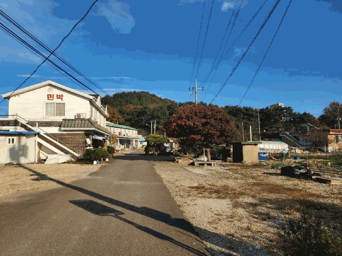 2025타경896 법원경매 사진12 | 충남 당진시 임야 경매