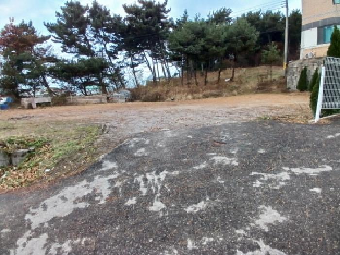 2025타경896 법원경매 사진14 | 충남 당진시 임야 경매
