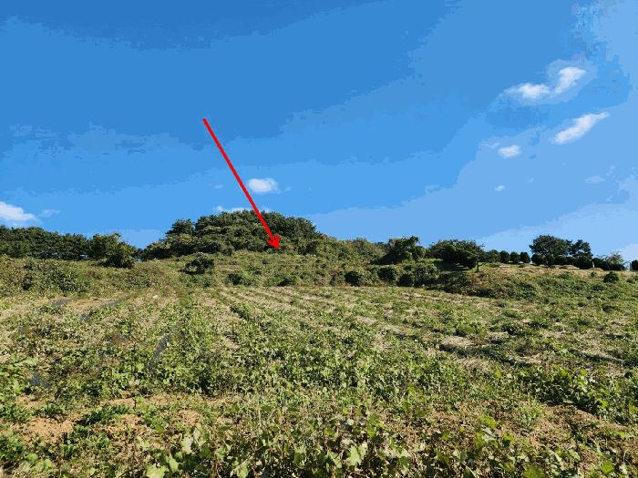 충청남도 태안군 고남면 고남리 946 법원경매 물건 대표사진