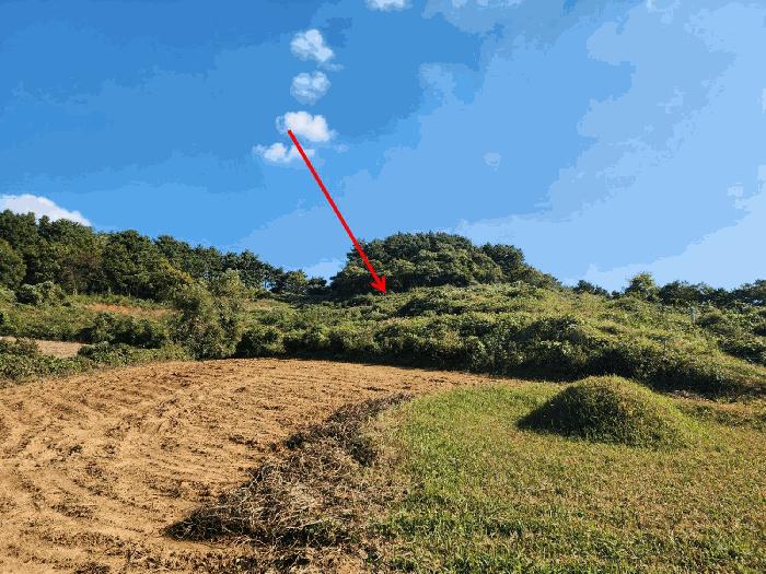 2025타경51842 법원경매 사진8 | 충남 태안군 전 경매