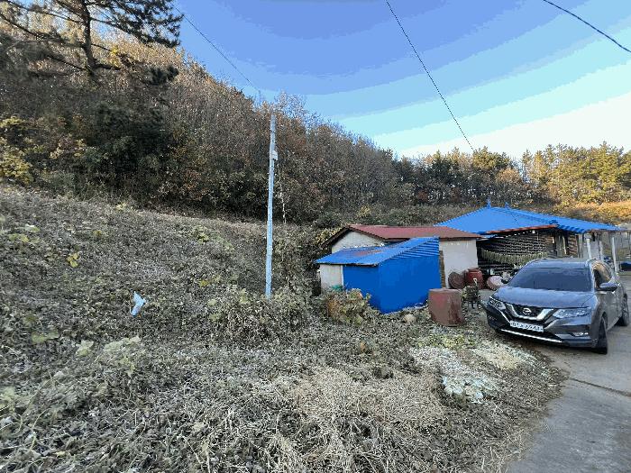 법원경매 2025타경51940 사진2 | 태안군 이원면 포지리 579 전 경매
