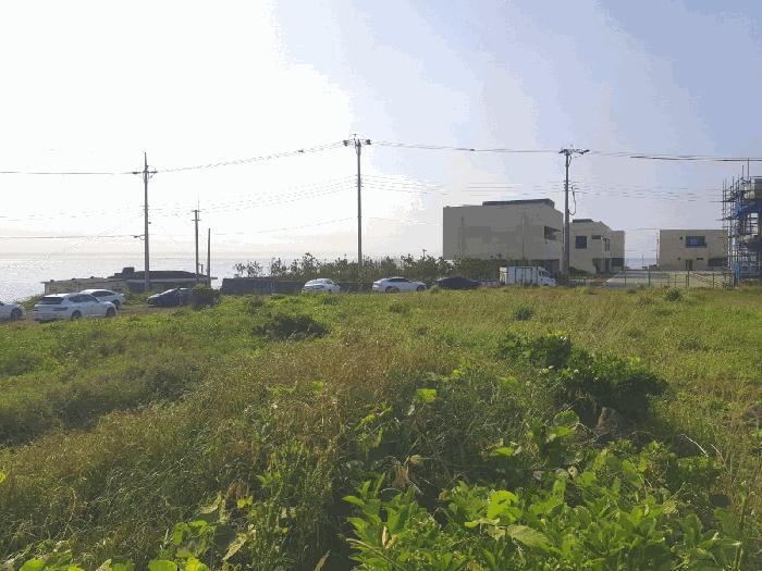 2025타경1299 법원경매 사진3 | 제주 제주시 전답 경매