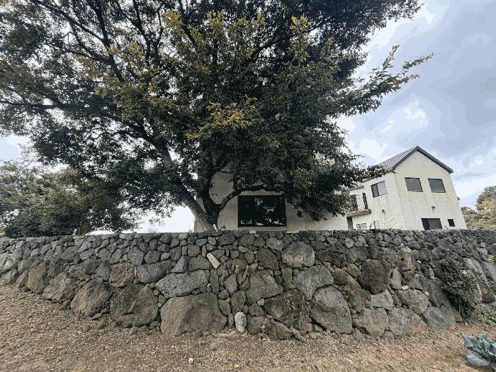 2025타경1510 법원경매 사진4 | 제주 제주시 주택건물 경매
