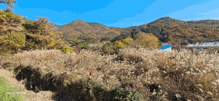 경상남도 양산시 평산동 954-1 법원경매 물건 대표사진