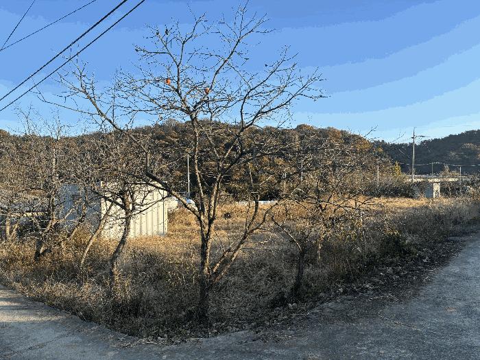 2025타경12822 법원경매 사진3 | 울산 울주군 전 경매