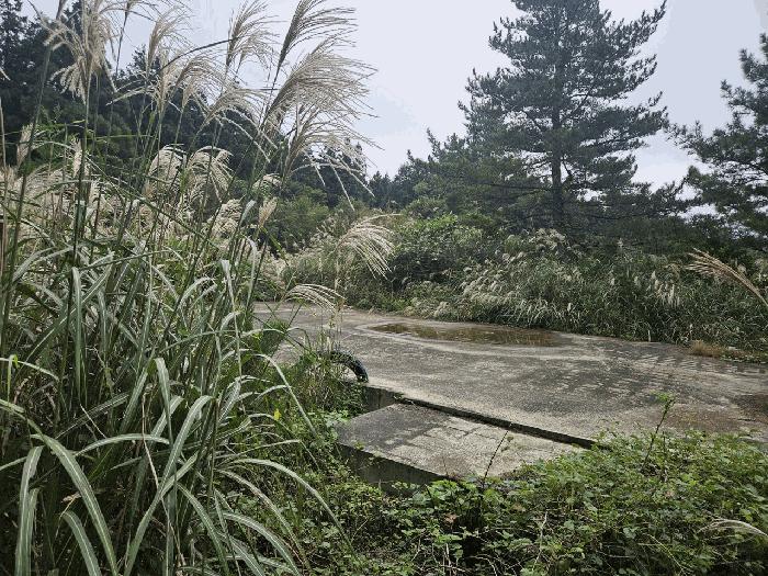 2025타경8858 법원경매 사진3 | 제주 제주시 임야 경매