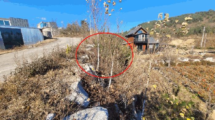 법원경매 2025타경307 사진3 | 고성군 죽왕면 야촌리 1022-10 대지 경매