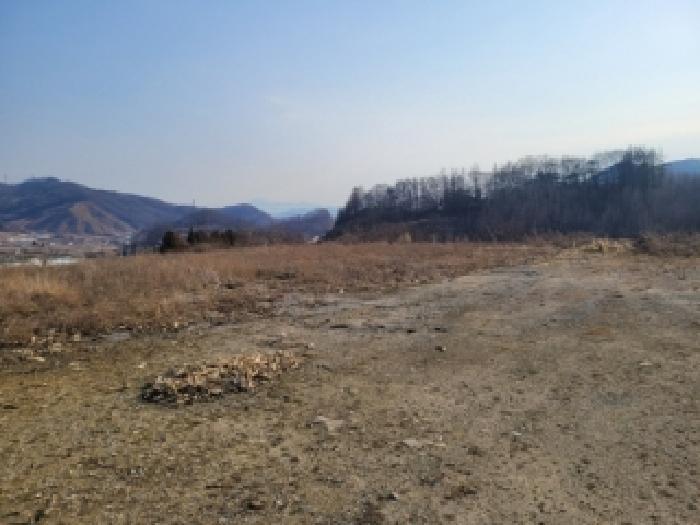 2026타경50057 법원경매 사진12 | 충북 괴산군 임야 경매