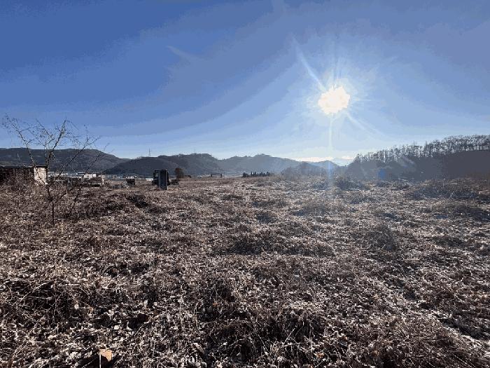 2026타경50057 법원경매 사진6 | 충북 괴산군 임야 경매